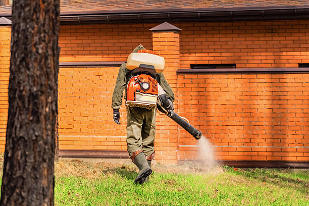 Trusted Mosquito Control service in Rio Verde, AZ - Nex Pest Control